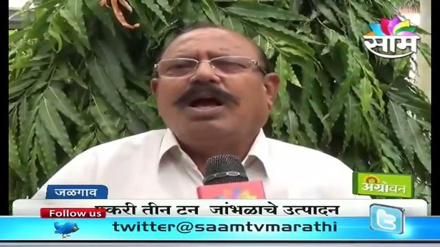 Raghunath Patil's Jambul (Syzygium cumini)success story смотреть онлайн