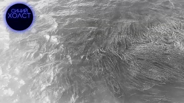 Об абсурде и о том, почему для любви нет оснований.