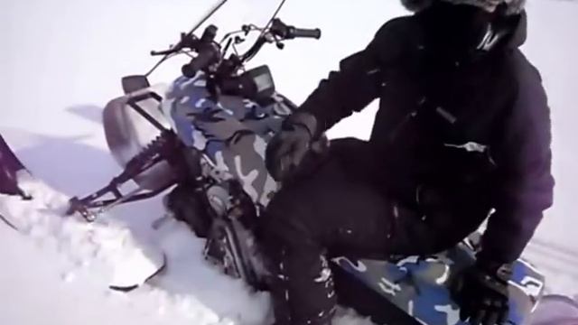 Тест на динго смотреть онлайн