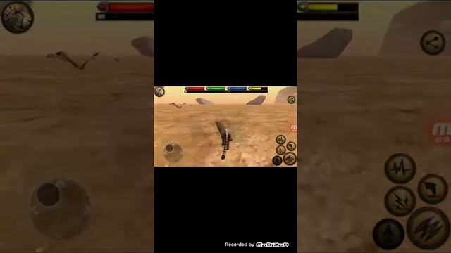 История гепарда смотреть онлайн