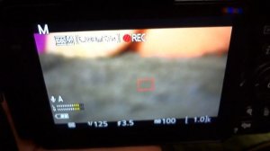 Ручная настройка видео на фотоаппарате Nikon D5600