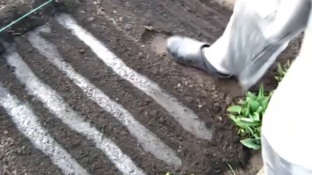 Сеем ТРАВЫ ДЛЯ ПРИПРАВЫ. ПРЯННЫЕ ТРАВЫ Ч - 2 смотреть онлайн