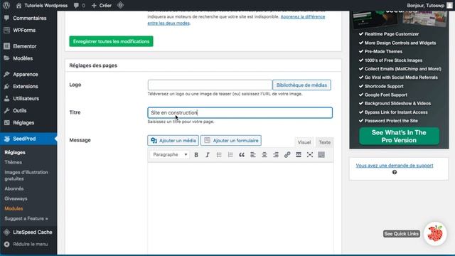Comment mettre votre site wordpress en mode Maintenance en 2022 смотреть онлайн
