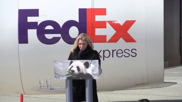Giant Pandas arrive at Toronto Pearson смотреть онлайн