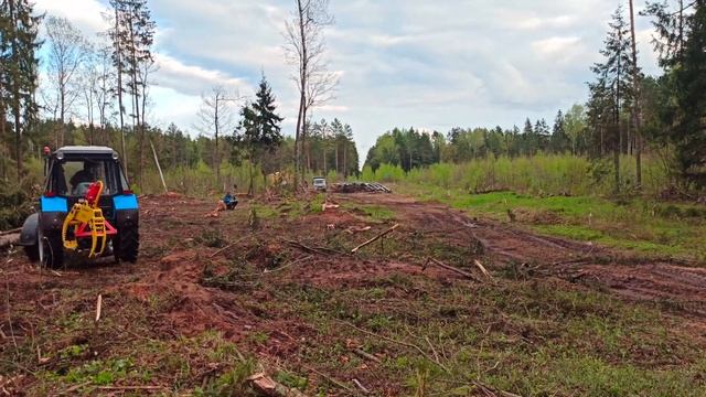 Строительство в городских лесах. Рубка леса. смотреть онлайн