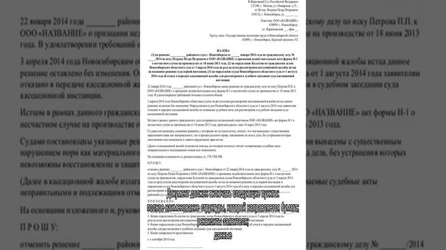 Жалоба председателю Верховного суда РФ по гражданскому делу — образец смотреть онлайн