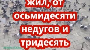 МОЛИТВА КОТОРАЯ СНИМАЕТ 77 ВИДОВ ПОРЧИ! | ЗНАХАРЬ-КИРИЛЛ! | МОЛИТВЫ ✝☦