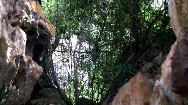 Впервые в Краби Часть 3. Райские острова . Барбекю буфет. Пляжные змеи. Горячие источники. смотреть онлайн