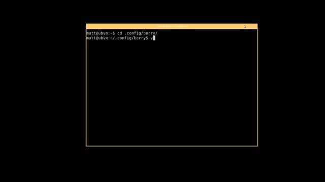 Berry Window Manager Install and First Look смотреть онлайн