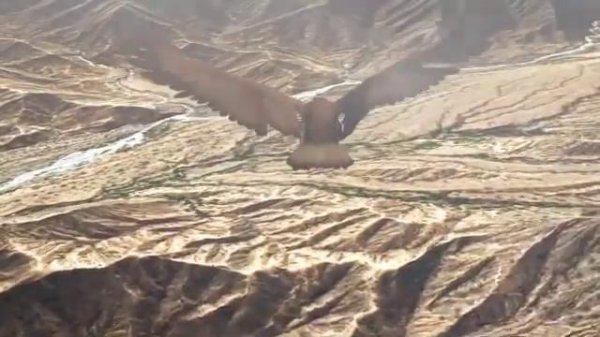 electro lounge music 2009 (lounge chilout music)