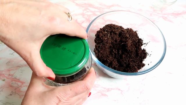 РАЗМНОЖЕНИЕ розы в стеклянной банке