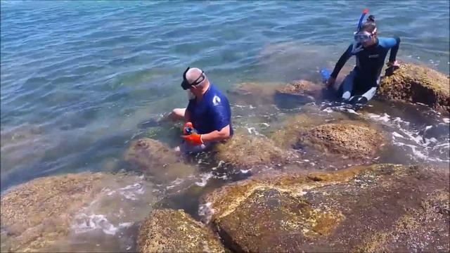 Осьминоги, Морские ежи, рыба: добываем , готовим едим. смотреть онлайн