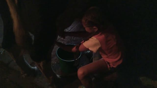 Ребёнок доит корову смотреть онлайн