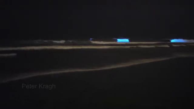 биолюминесценция планктона Ла Хоййа, Сан Диего. La Jolla, San Diego. смотреть онлайн