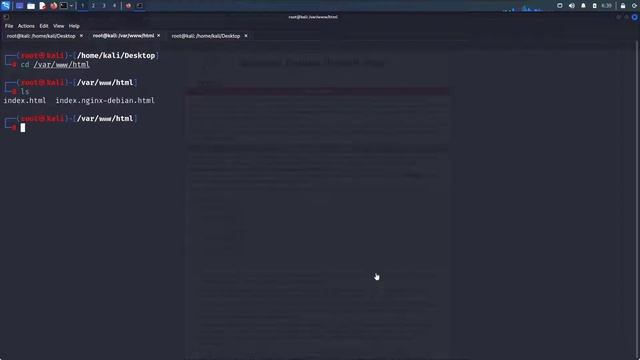 Dış Ağdan Reverse Shell Alma! NGROK nasıl Kullanılır? смотреть онлайн