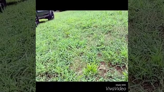 My cr-v jdm смотреть онлайн