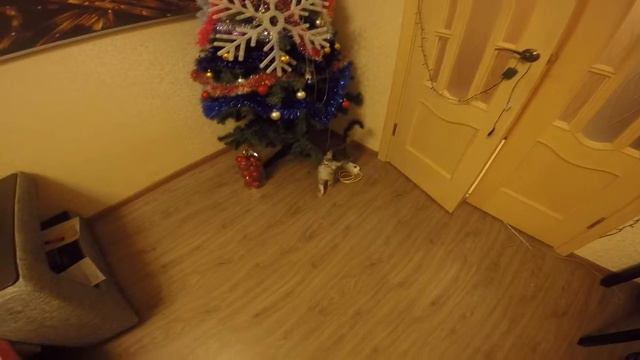 Мейн Кун Шэри и документы ))) смотреть онлайн