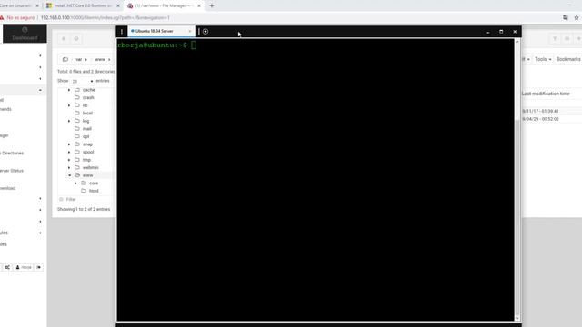 Cómo publicar un sitio ASP .NET Core en Ubuntu con Nginx смотреть онлайн