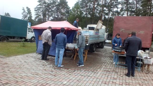 Золотой урожай 2020 смотреть онлайн