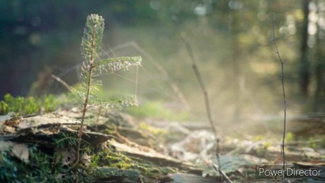 Сейчас я стала себя беречь.. смотреть онлайн