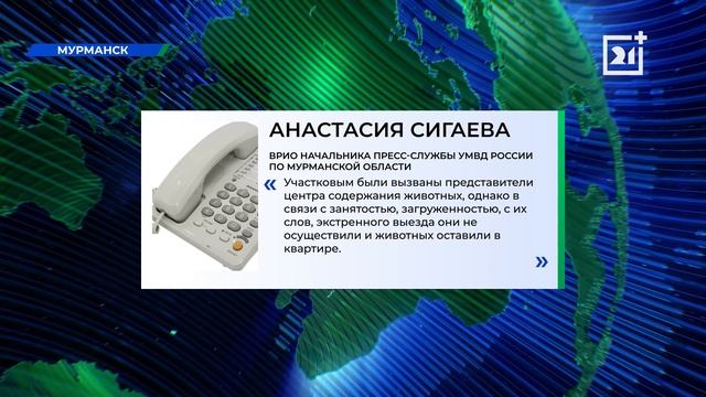 Жуткий случай возмутил северян в Мурманске смотреть онлайн
