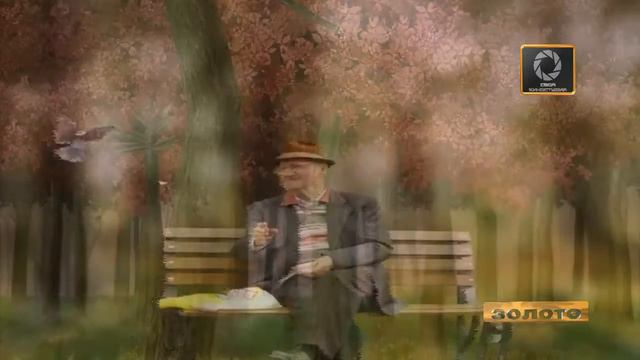 Владимир Пресняков - Замок из дождя (Золото в проекте "Народное слово"- 2016 г) смотреть онлайн