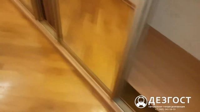 Как подготовить квартиру к обработке от тараканов. ДезГОСТ. смотреть онлайн