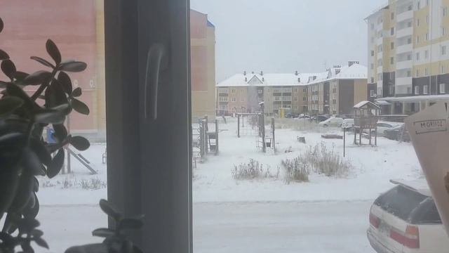 Раз уж снимаю на Дзен ? пусть тут тоже будут ?? буду видео дублировать некоторые) сюда