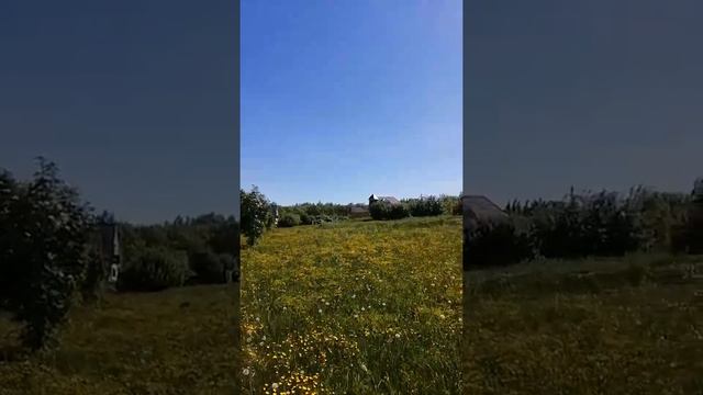 Карботка Кирилловский район берег Озера дом дача участок пмж #rimrealty #надобрать смотреть онлайн