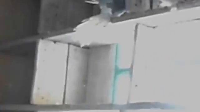 бойные голуби (НИКОЛАЙ ДОЛГОБРОДОВ , Ставрополь, Россия ) смотреть онлайн