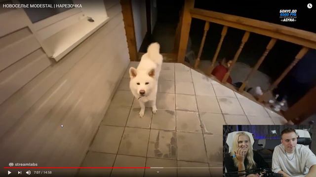 Modestal смотрит J3K3Y - НОВОСЕЛЬЕ MODESTAL | НАРЕЗОЧКА