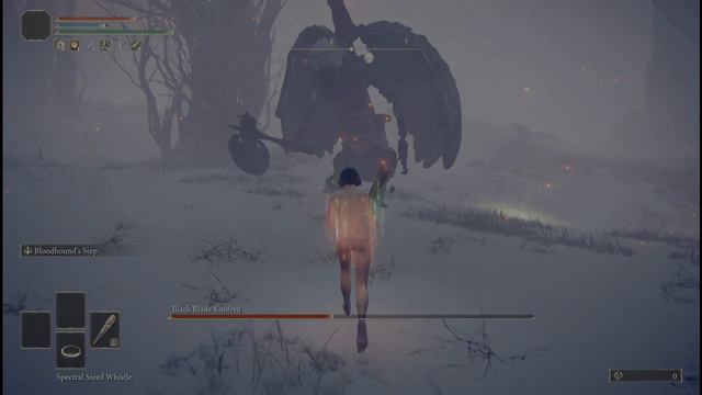 Elden Ring - Elynia's Journey, Lvl1 Wretch VS Black Blade Kindred (Rold) [Solo, No Damage] смотреть онлайн