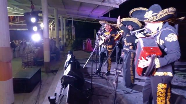 Pideme la Luna (en vivo) - Mariachi de Oro смотреть онлайн