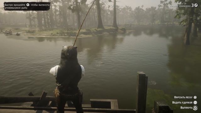 Red Dead Redemption 2_Вот это улов! Канальный сом 6,55 кг!!! смотреть онлайн