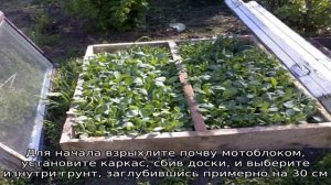 Как сделать теплый парник для рассады — простые модели для начинающих огородников