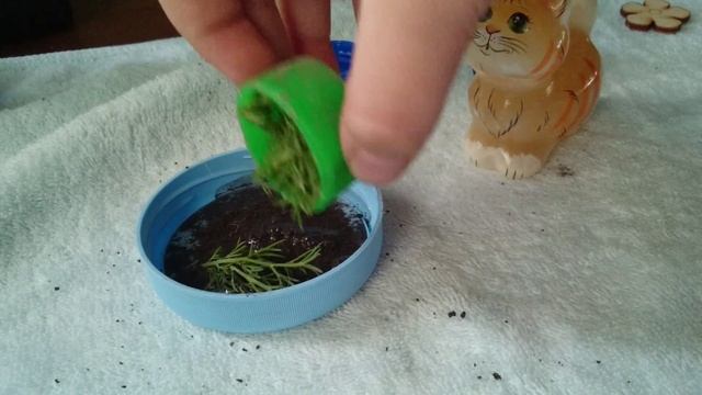 Злая кухня с Кисы Тулебаевой. смотреть онлайн