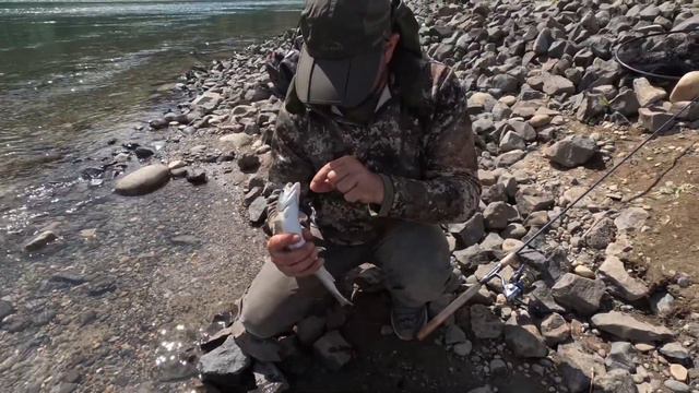 Рыбалка Washington state США смотреть онлайн