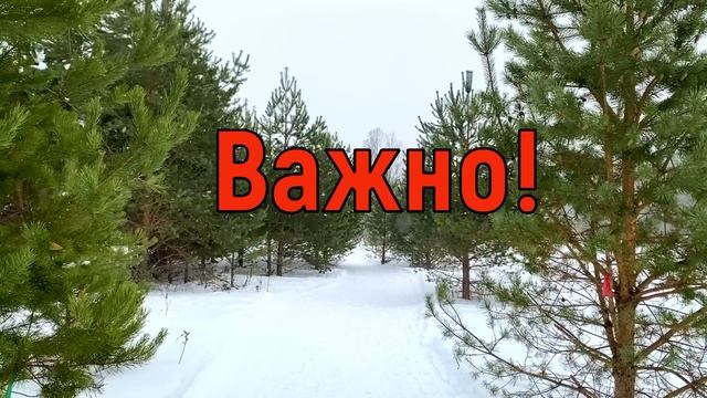18 февраля Вселенская Суббота. Что нельзя делать во Вселенскую Субботу. Народные традиции и приметы смотреть онлайн