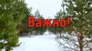 18 февраля Вселенская Суббота. Что нельзя делать во Вселенскую Субботу. Народные традиции и приметы