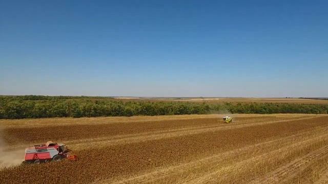 Жатка для уборки подсолнечника ЖСМ-Альфа смотреть онлайн
