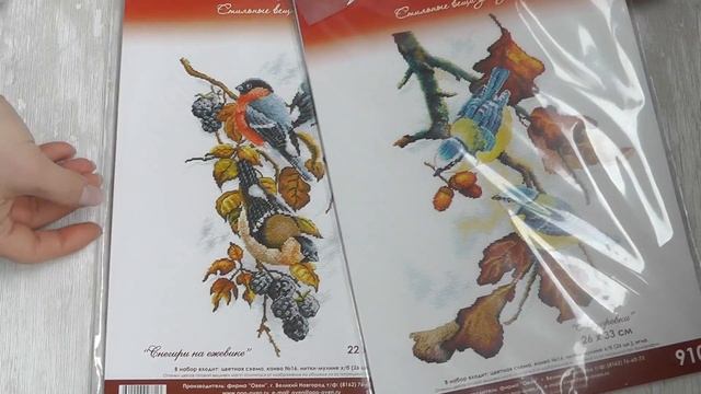 Отзыв на покупку товаров для рукоделия в магазине "Мир Вышивки" июнь 2017 ☕ смотреть онлайн