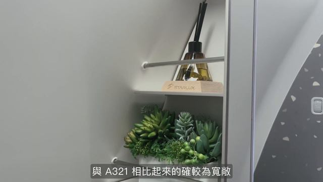 STARLUX A350 A330 Business Class Review 星宇航空商務艙｜From Taipei to Tokyo RoundTrip｜Part2 [SUB] смотреть онлайн