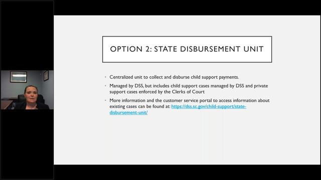 Child Support and the S C Child Support Guidelines смотреть онлайн