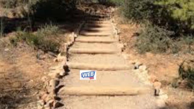 « 5h du matin lagn ma yobou bir forêt Mbao, néma julli ba paré… »Un rescapé raconte?? смотреть онлайн