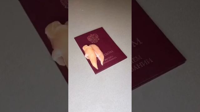 Готовим на праздник с Галиной