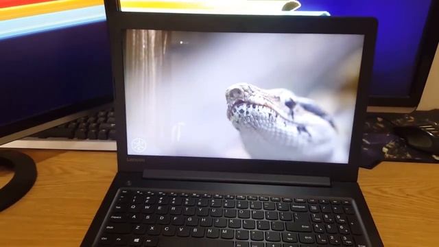 Lenovo 310 15ABR Review смотреть онлайн