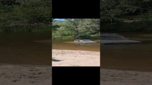 Нива не доплыла