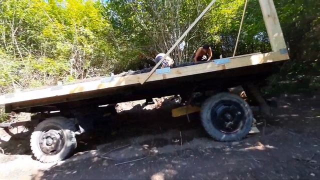 Утеплитель - камка, или взморник, водоросль смотреть онлайн