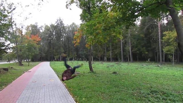 Сальто с пешеходной дорожки смотреть онлайн