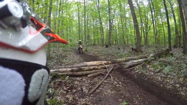 Orr Lake Trail System - Barrie Ontario, Canada смотреть онлайн